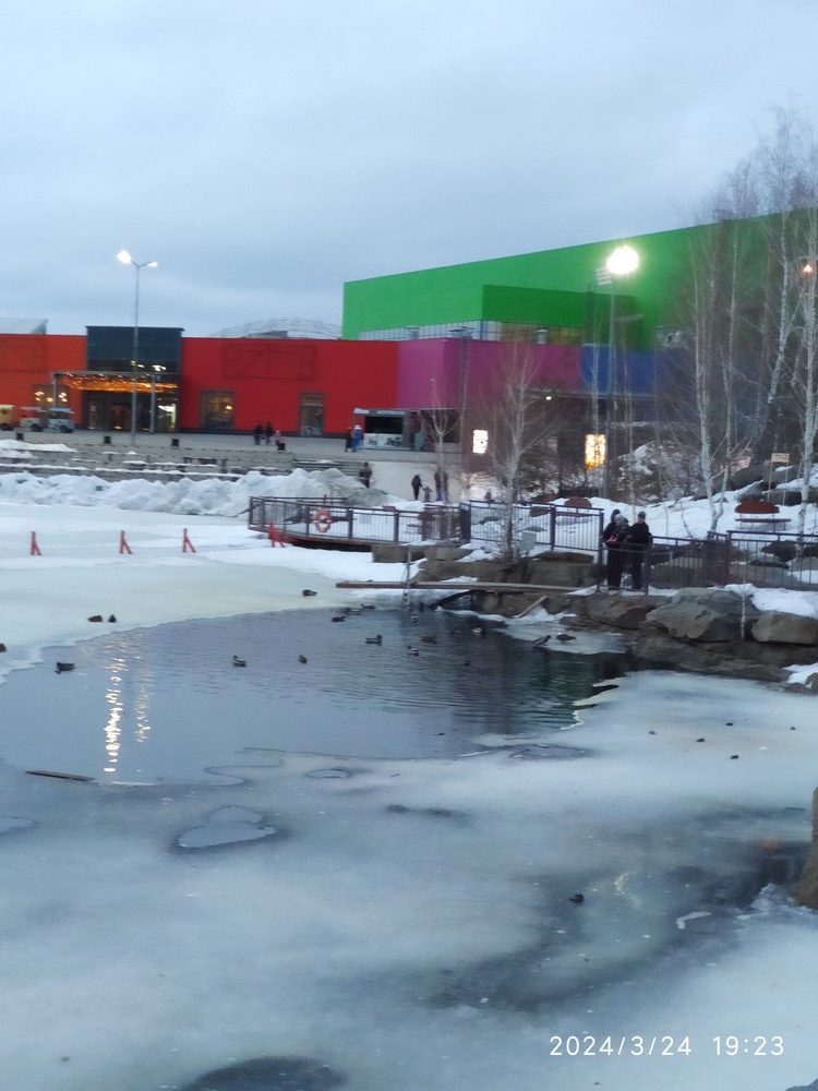 Карпы тц радуга парк