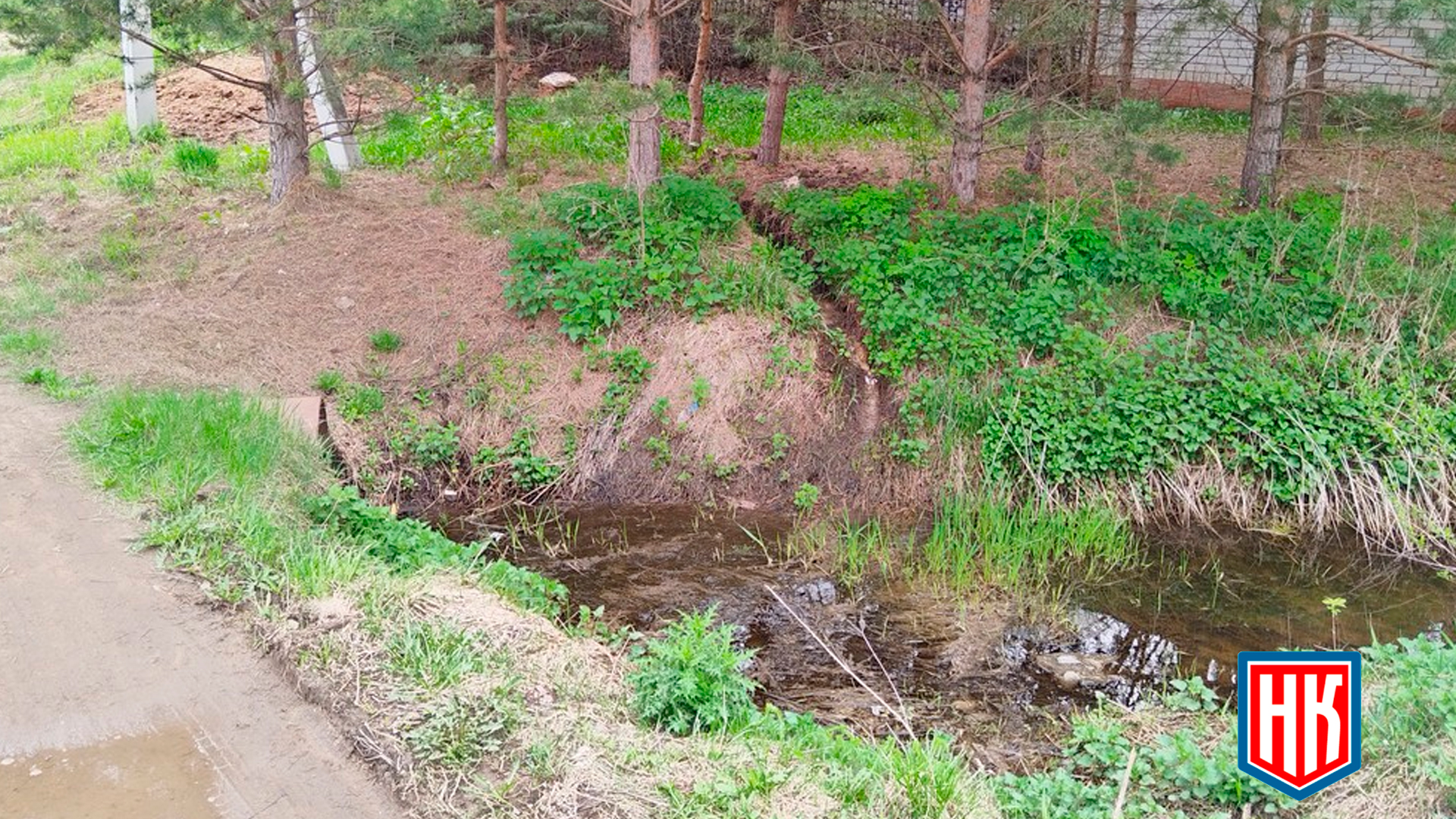 Большая шильна