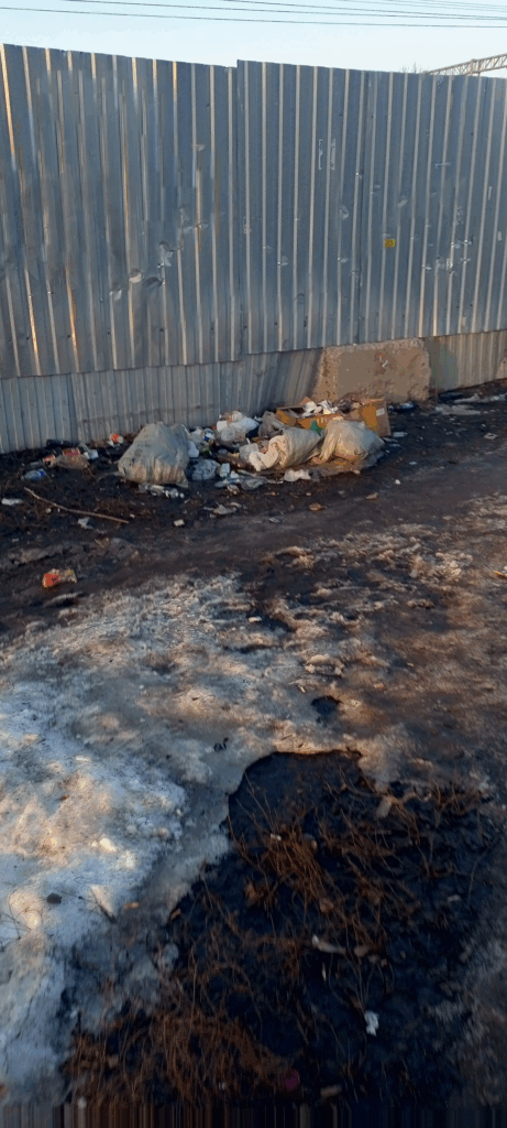 Электроугли, ЖД станция Купавна