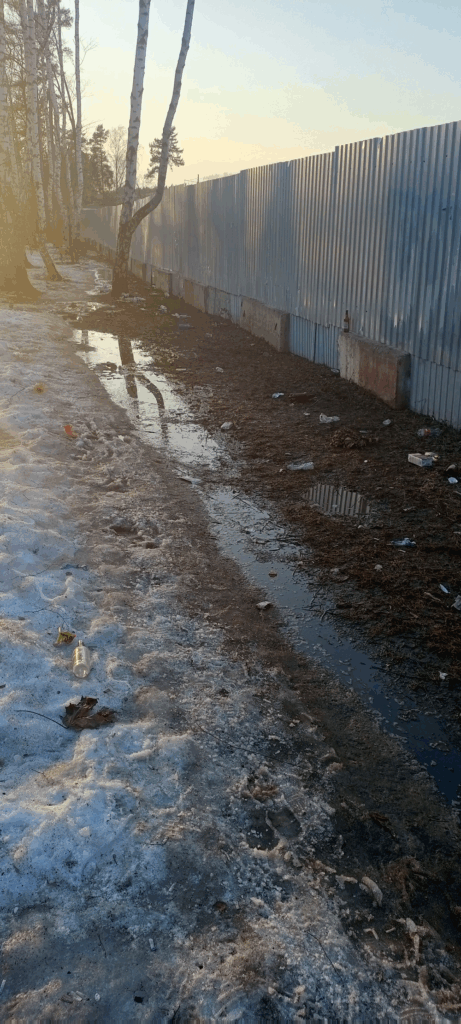 Электроугли, ЖД станция Купавна